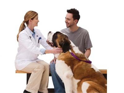 Free Exam & Health Consultation for your Pet (Expired)