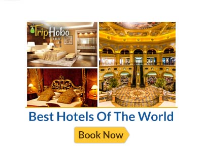 TripHobo – Hotel Booking (Expired)