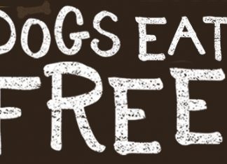 Free Sample of Bros Bagels from Einstein Bros