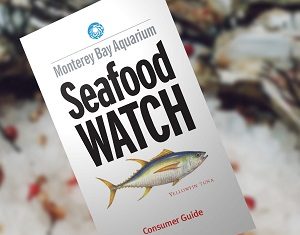 Free Seafood Watch Consumer Guide (US Only)