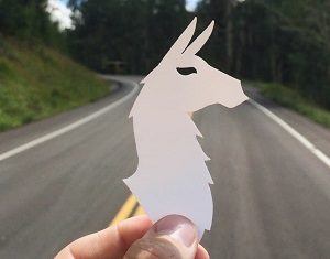 Grab your Free Cotopaxi Stickers (US Only)
