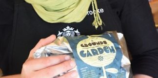 Get Free Coffee Plants from Starbucks