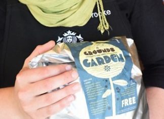 Get Free Coffee Plants from Starbucks