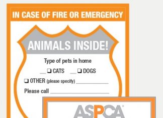 Get Free Sticker of Animal Inside Pet-Safety-Pack