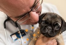 Get FREE Office Visit and Consultation FREE-Office-Visit-and-Consultation