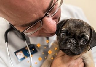 Get FREE Office Visit and Consultation FREE-Office-Visit-and-Consultation